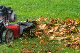 Power Up Your Fall Cleanup: Tips and Tricks for Efficient Yard Maintenance