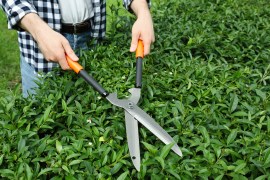 Top 5 Benefits of Using Electric Garden Shears Over Manual Clippers