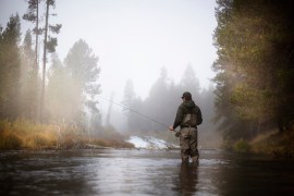 Rain, Wind, and Sun: How Different Weather Elements Affect Your Catch