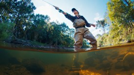 Mastering Bottom Fishing: Effective Strategies for Catching Big Fish